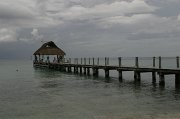 IMG_5930