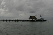 IMG_5941