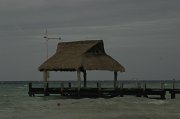 IMG_5947