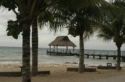 IMG_5984