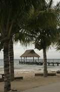 IMG_5985