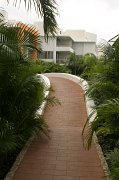 IMG_5992