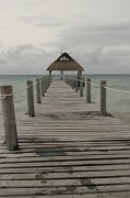 IMG_6011