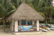 IMG_6012