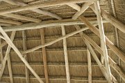 IMG_6014