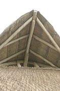 IMG_6020