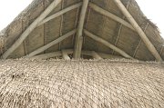 IMG_6021